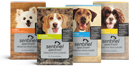 sentinel spectrum for puppies